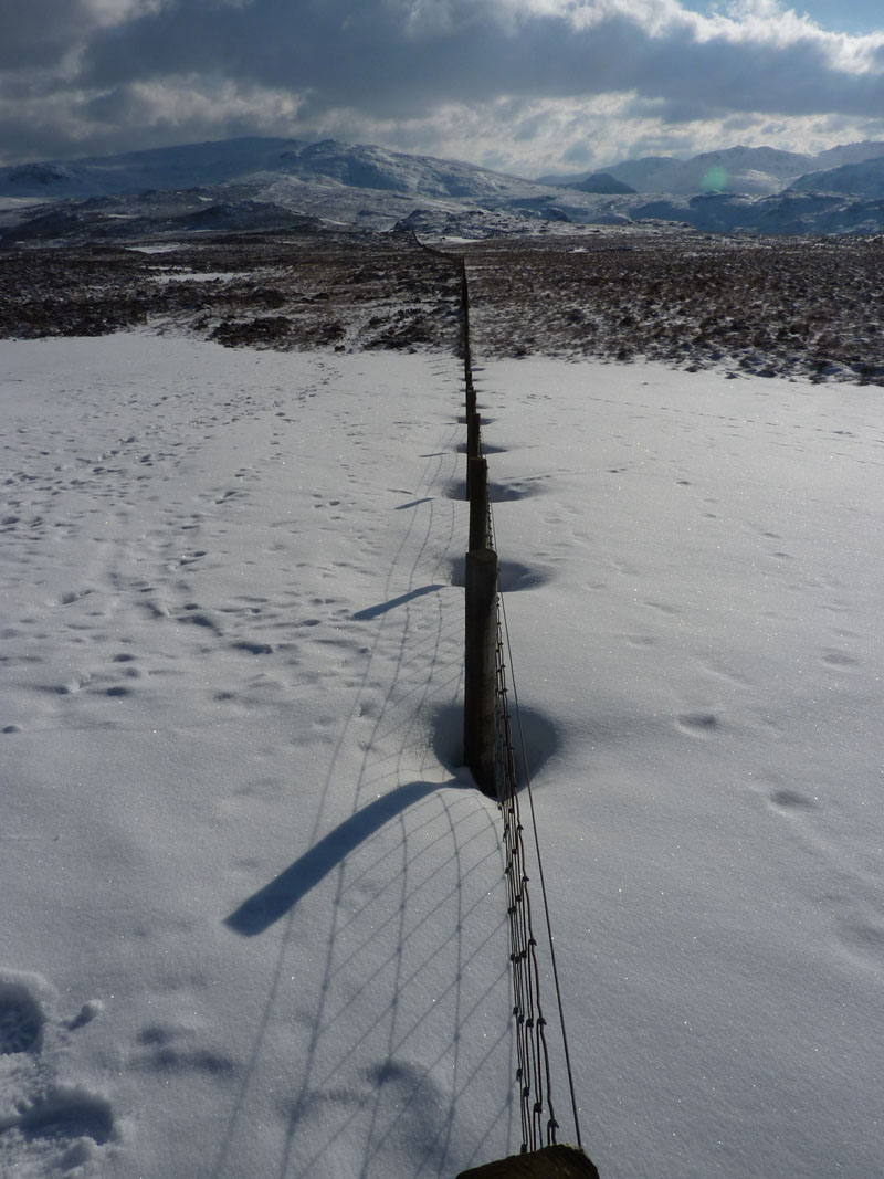 Fence on High Tove